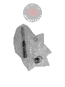 0431112110_2.webp