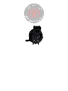 8533060160_2.webp