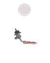 2328031041_1.webp