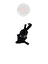 2330031160_2.webp