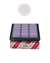 SUBCONJUNTO ELEMENTO, FILTRO AIRE TOYOTA 1780170060